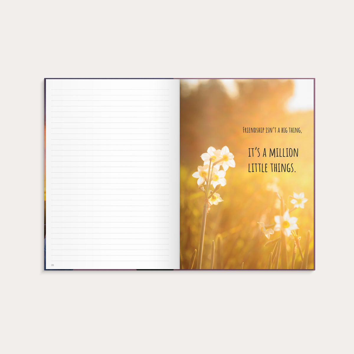 Notebook Friendship