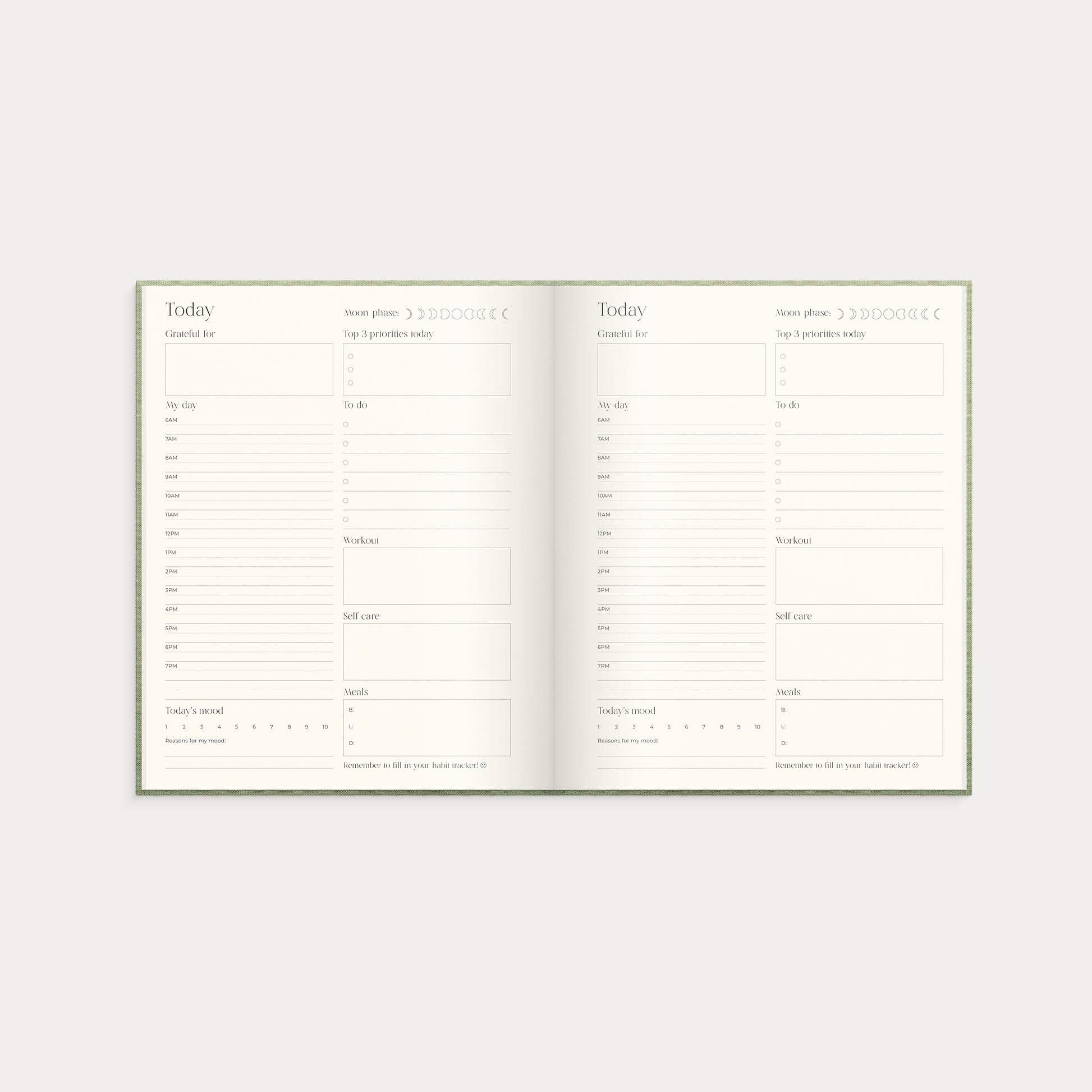 The Wellness Planner