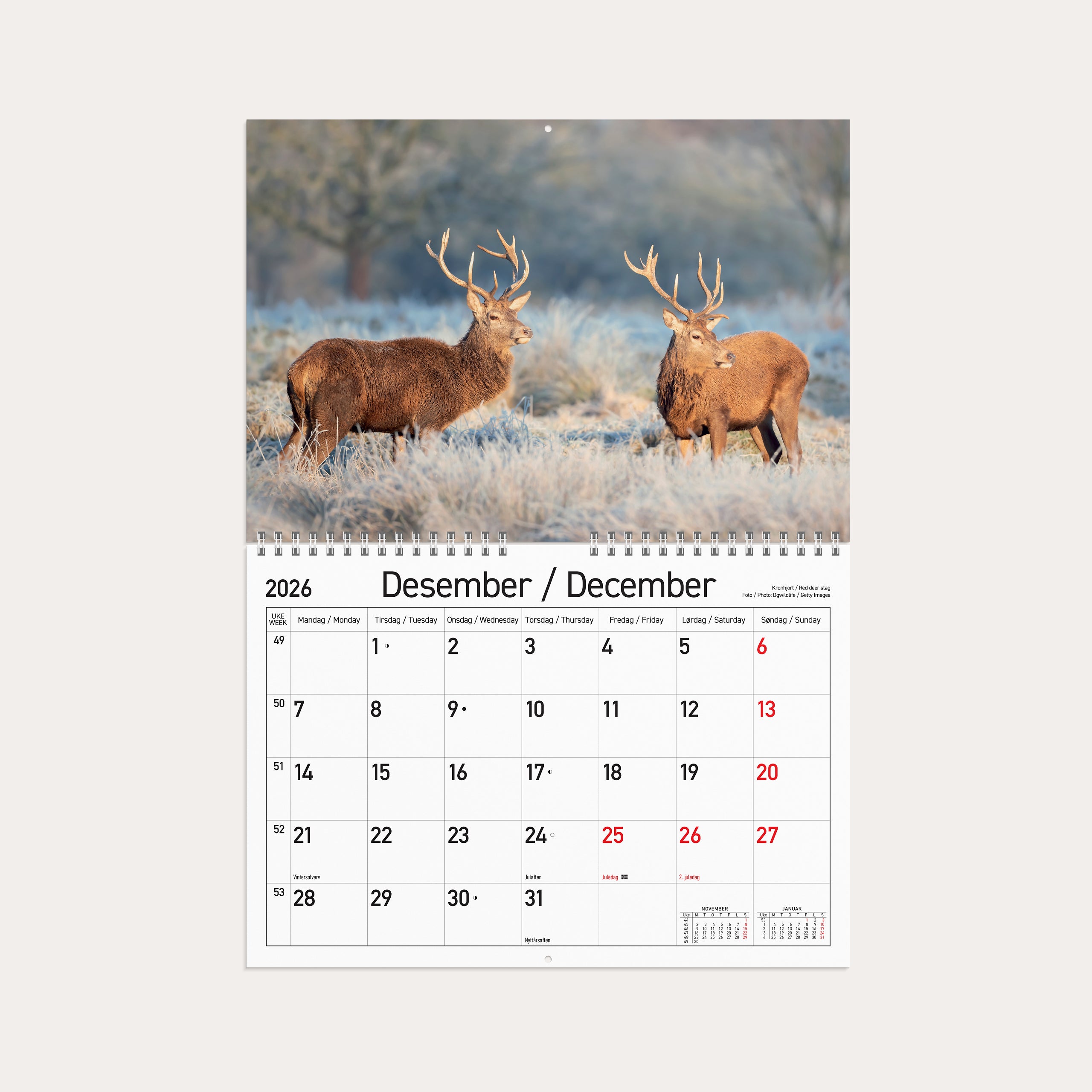 Veggkalender 2026 Norske Dyr