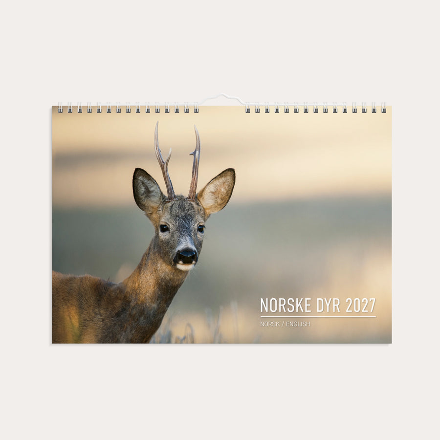 Veggkalender 2027 Norske Dyr