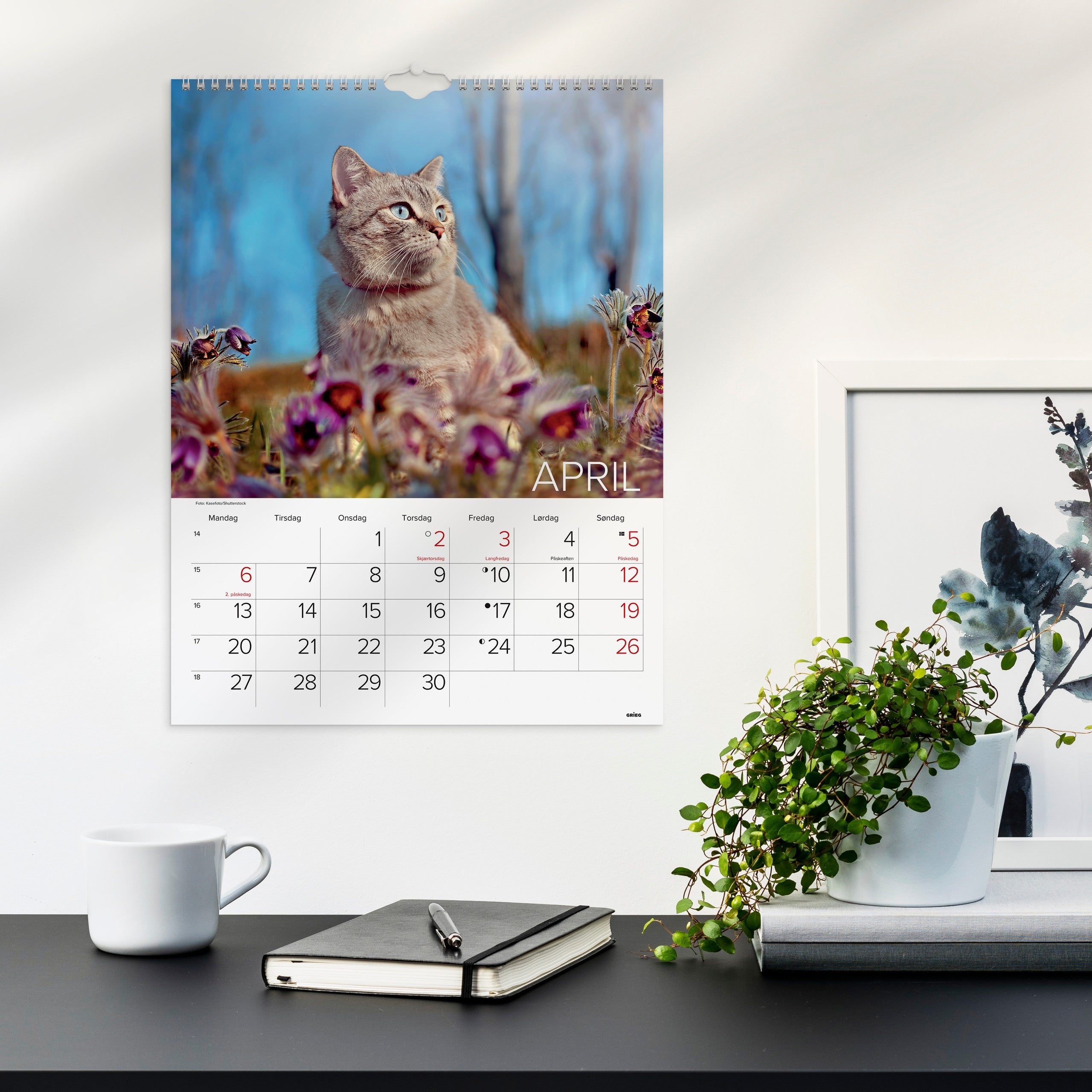 Veggkalender 2026 Katter