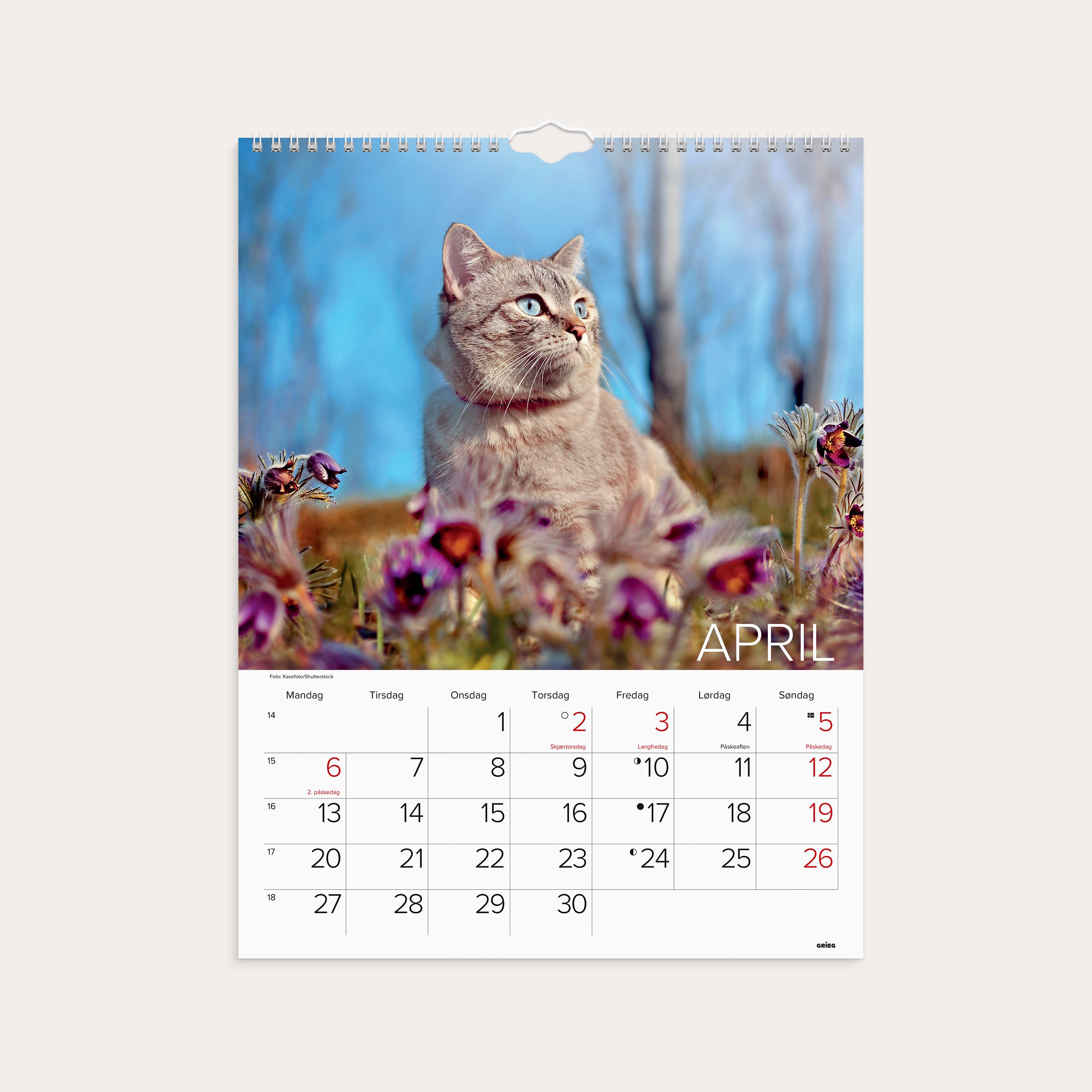 Veggkalender 2026 Katter