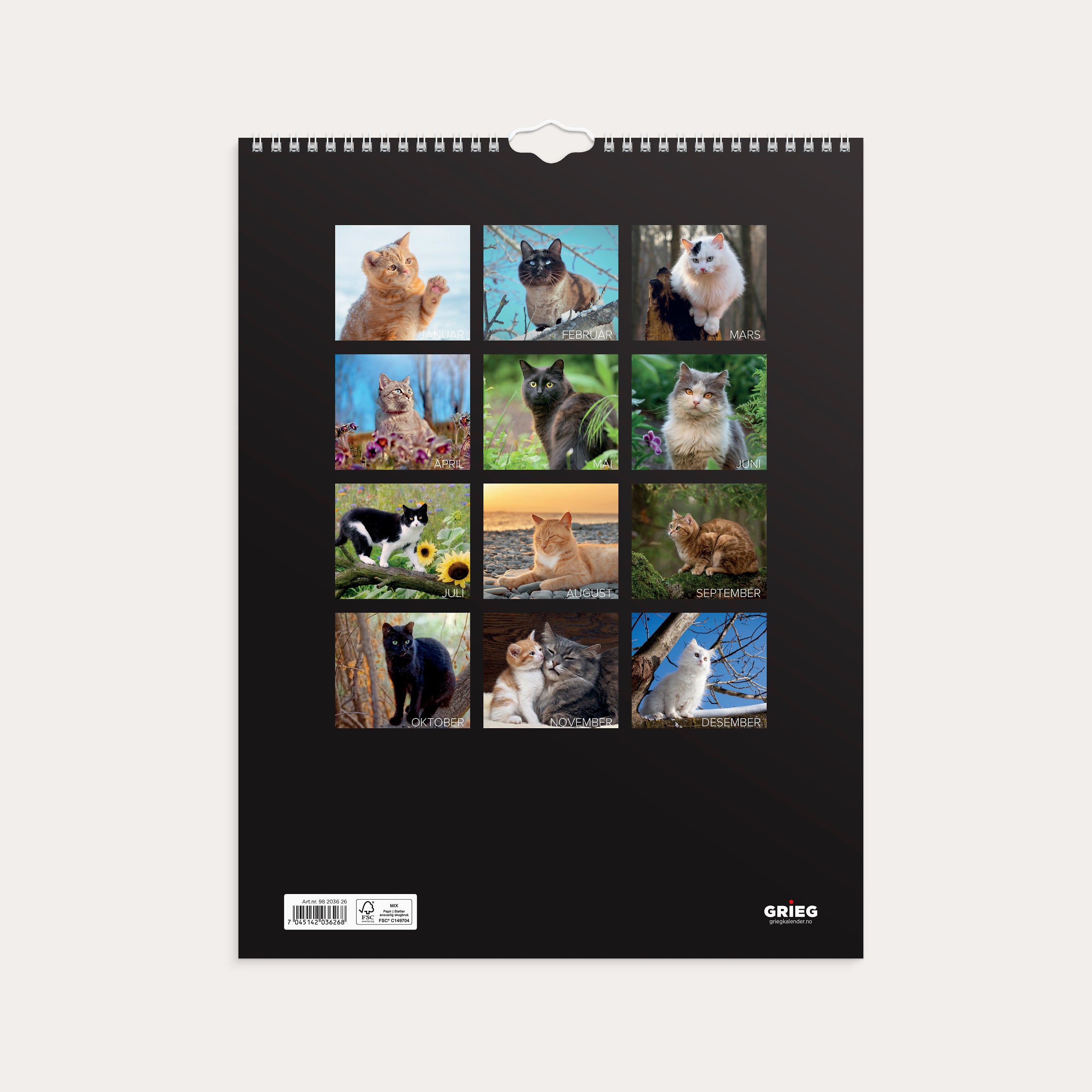 Veggkalender 2026 Katter