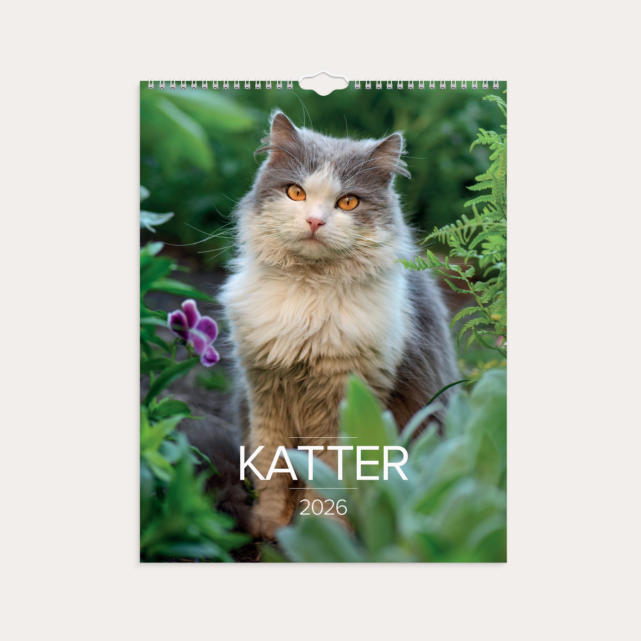 Veggkalender 2026 Katter
