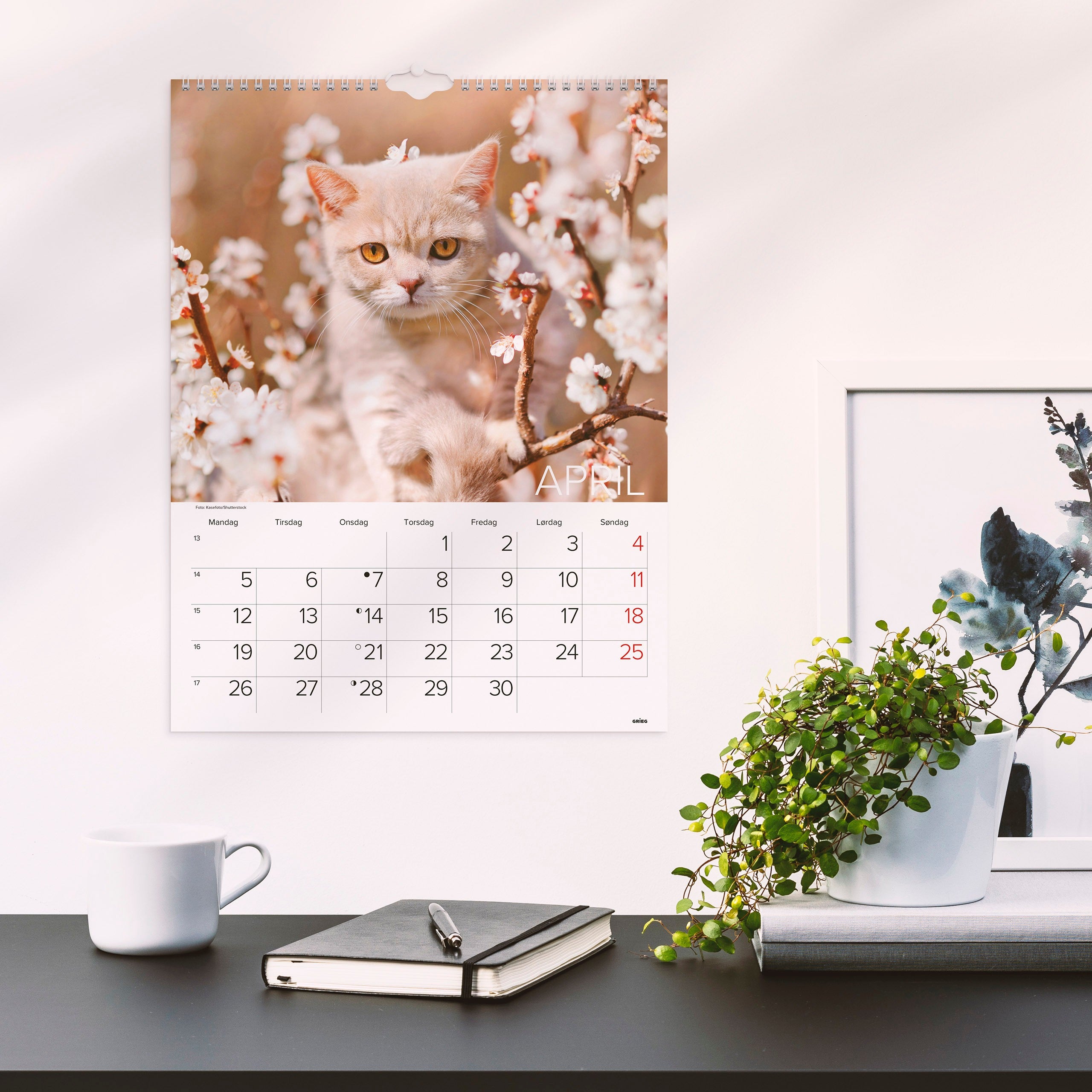Veggkalender 2027 Katter
