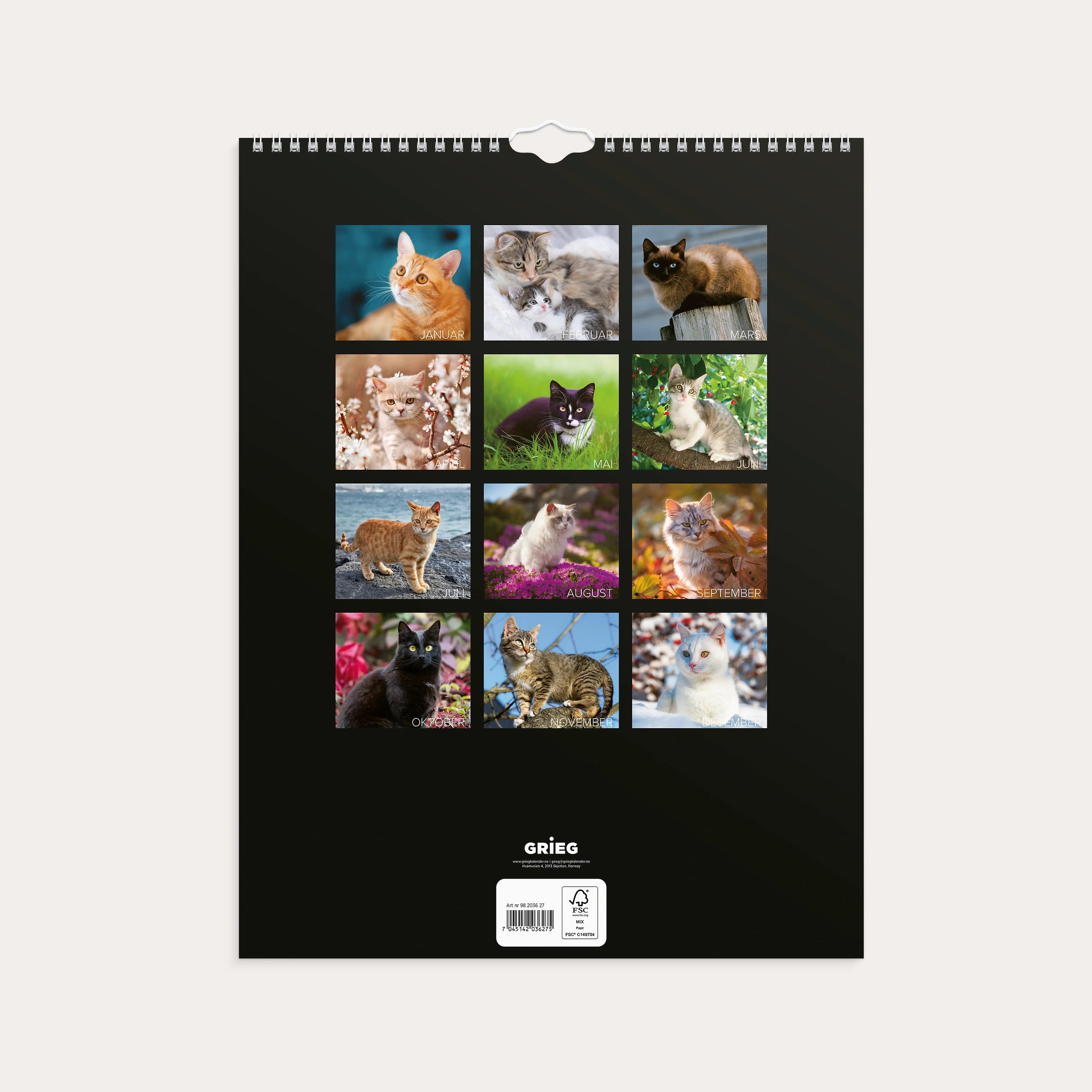 Veggkalender 2027 Katter