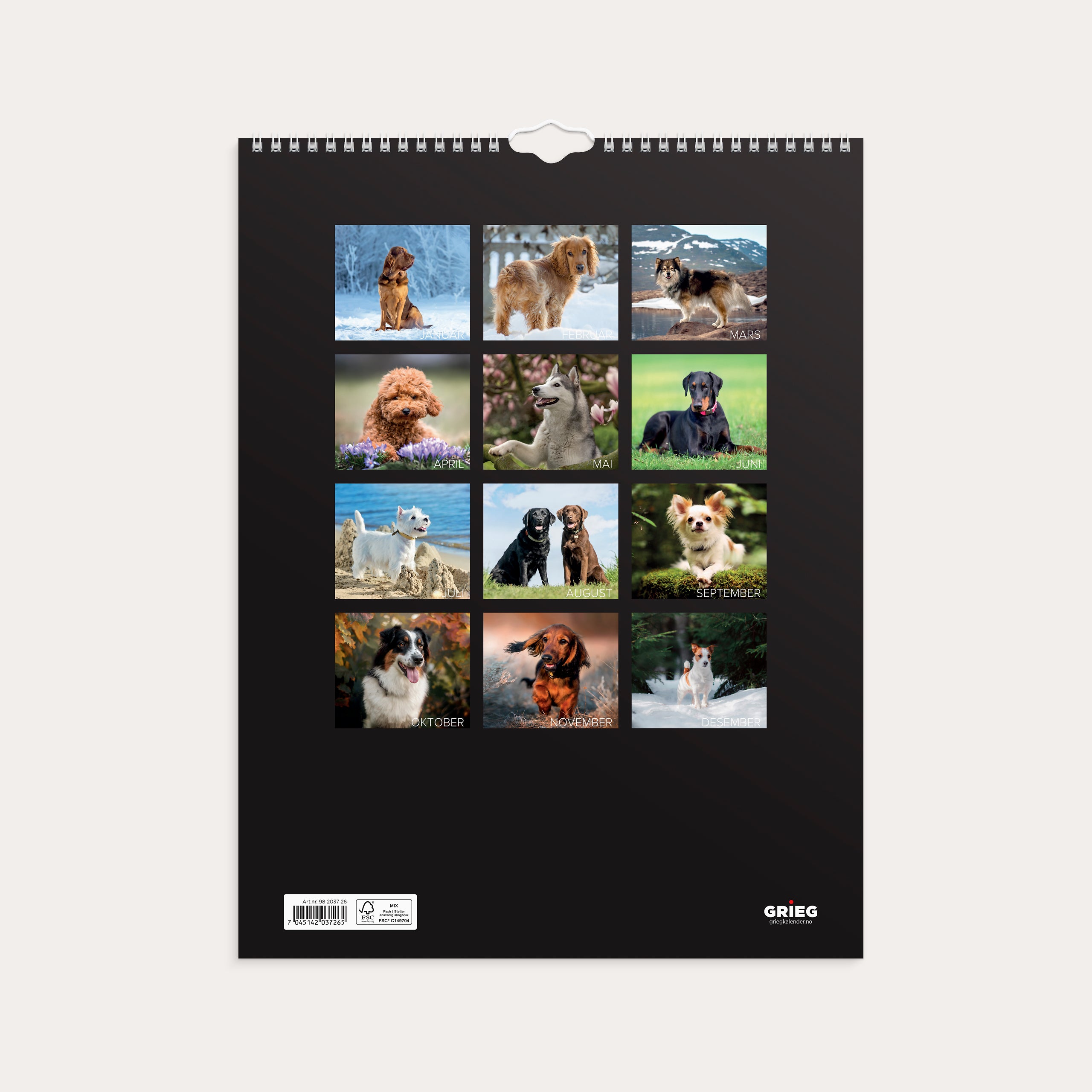 Veggkalender 2026 Hunder