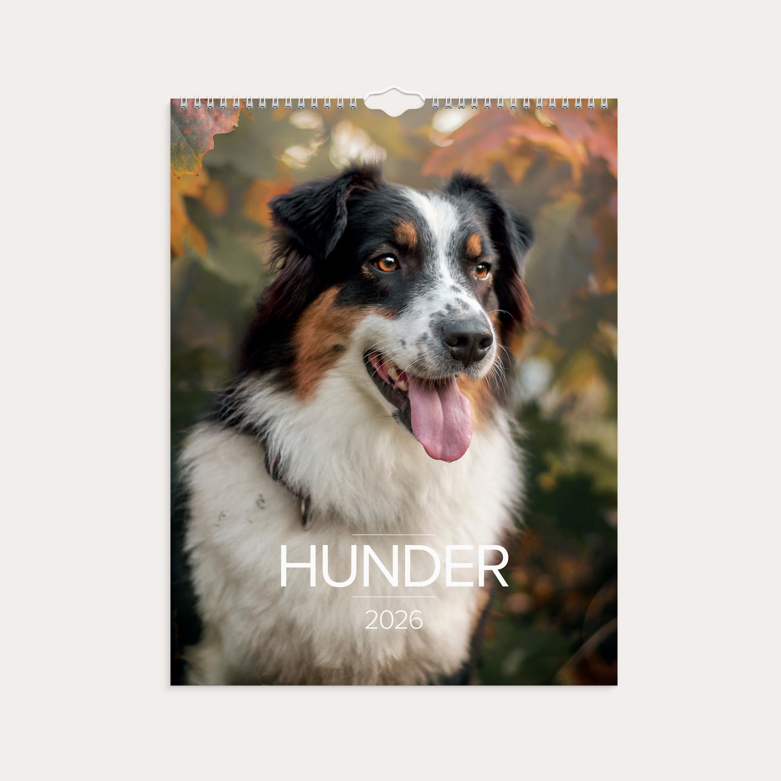 Veggkalender 2026 Hunder