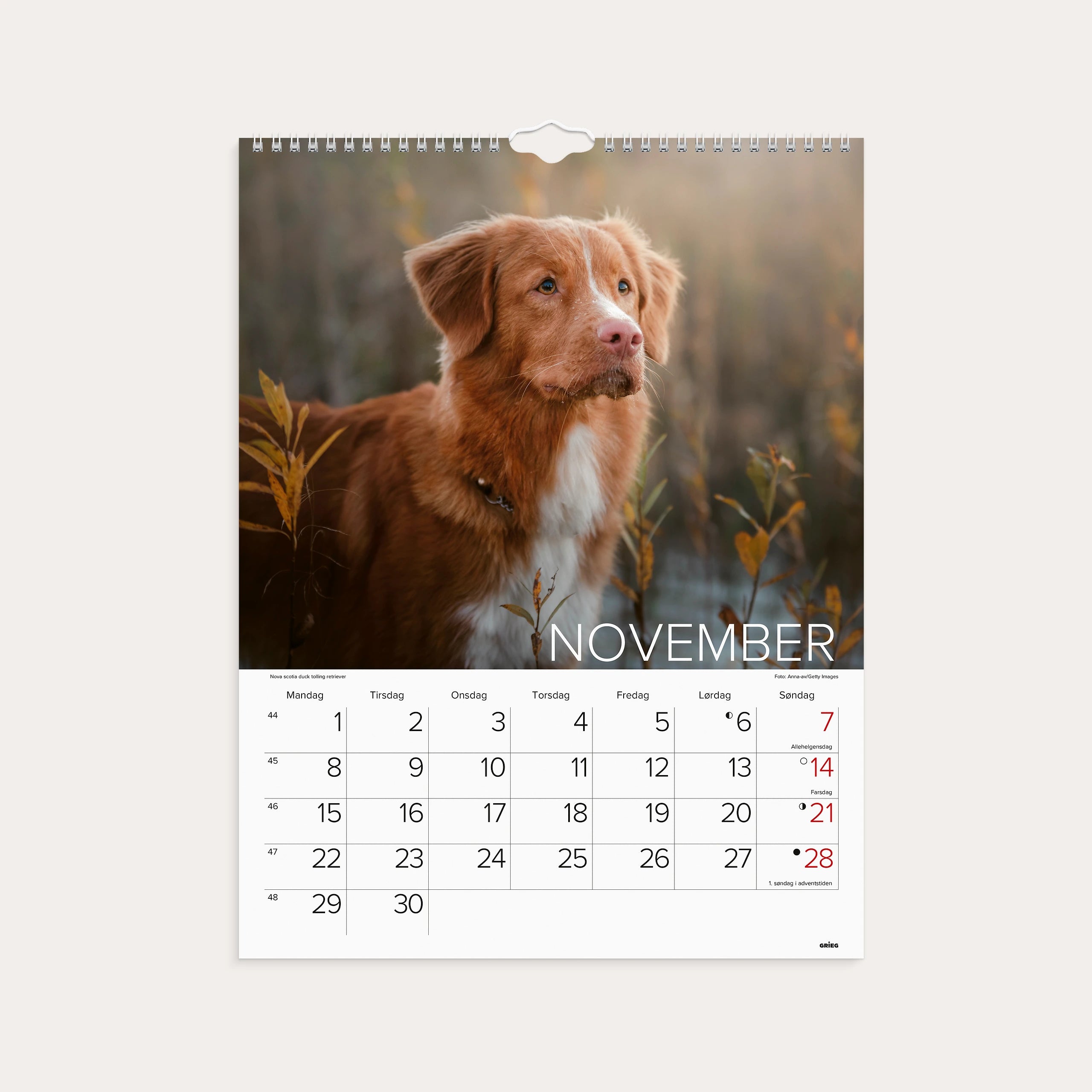 Veggkalender 2027 Hunder