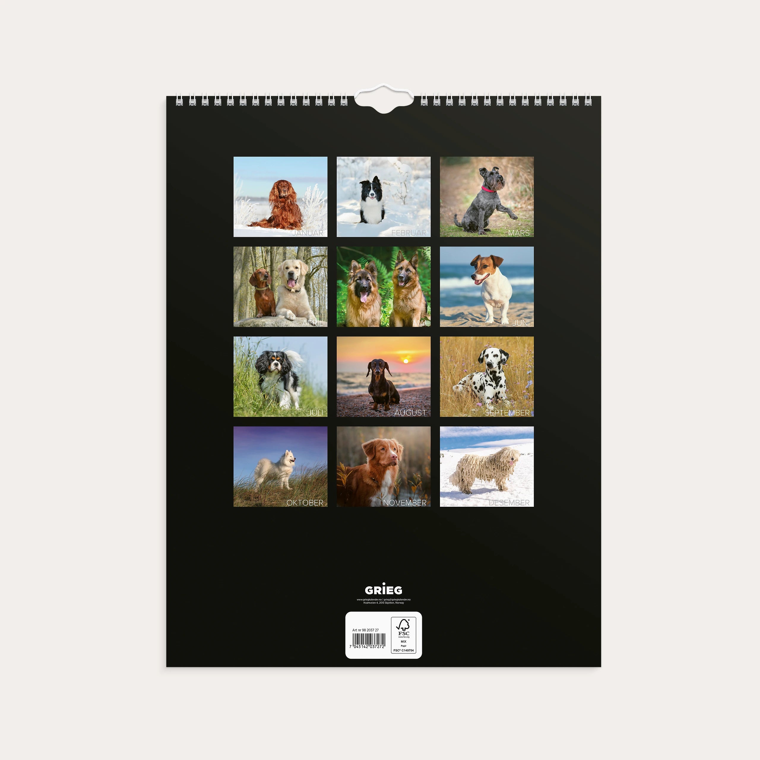 Veggkalender 2027 Hunder