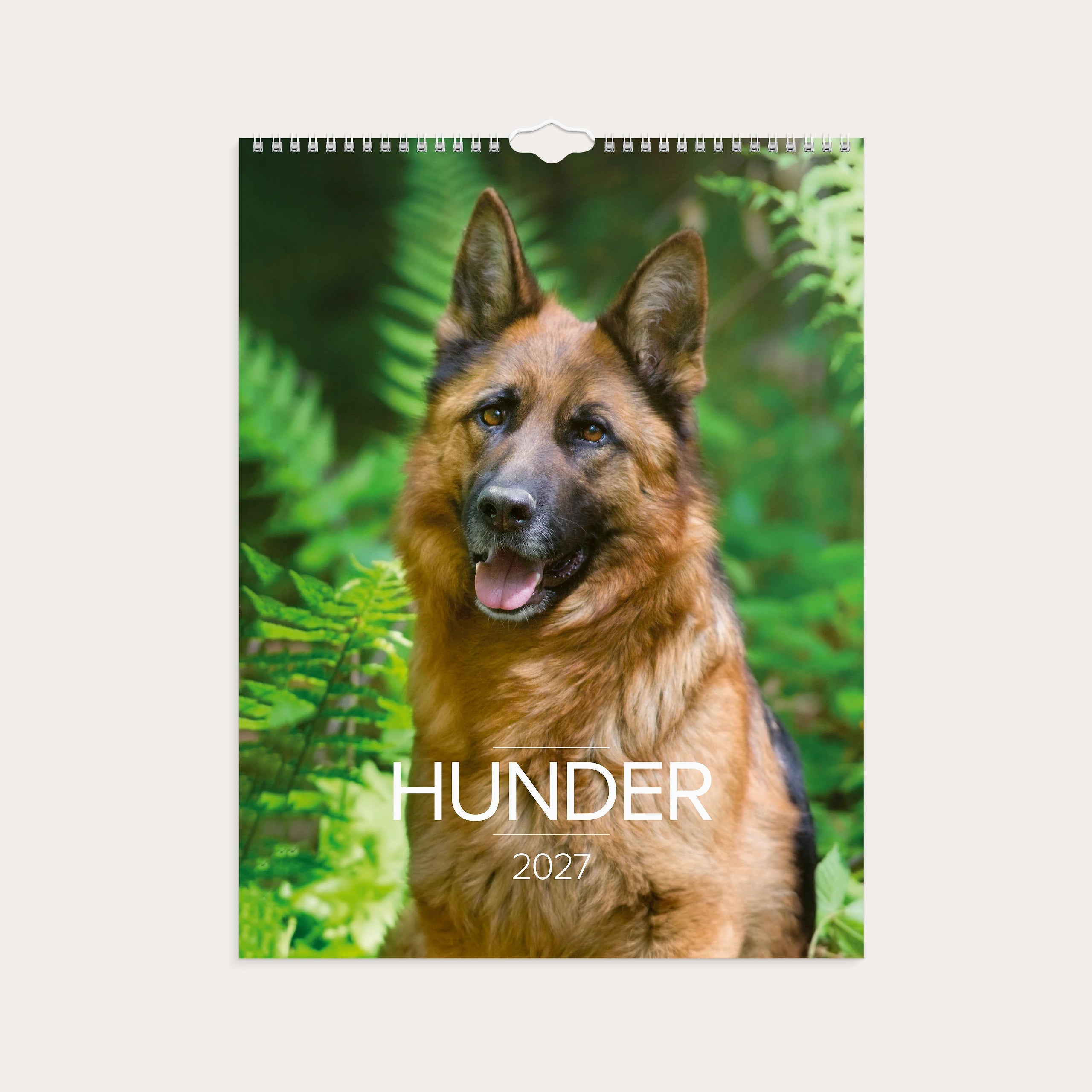 Veggkalender 2027 Hunder