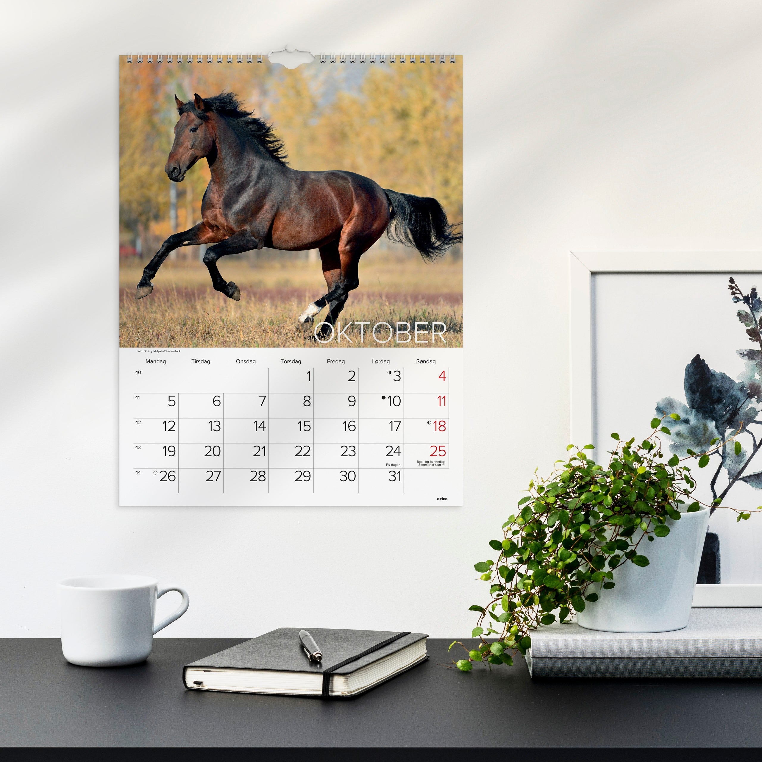 Veggkalender 2026 Hester