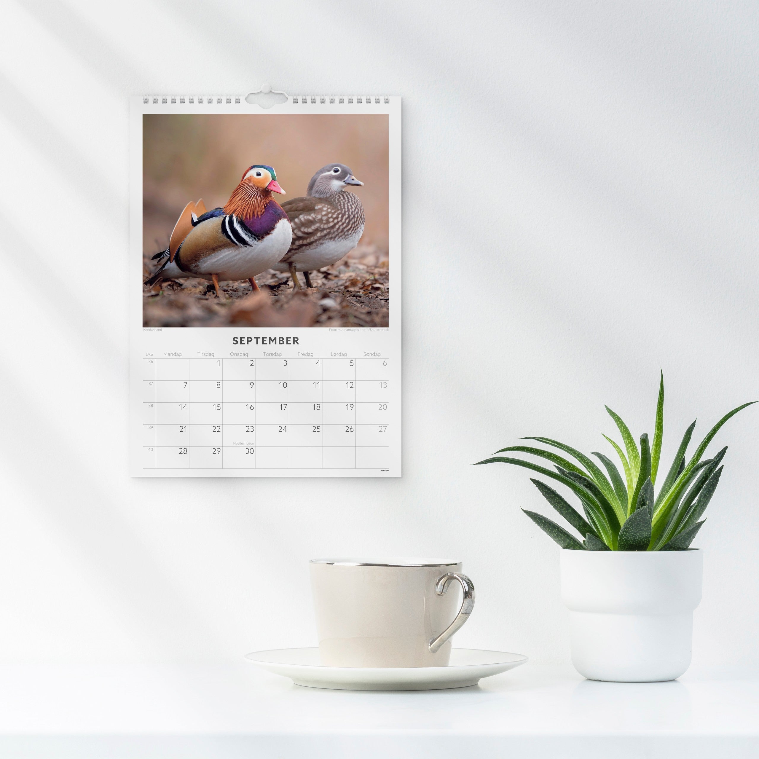 Veggkalender 2026 Fugler