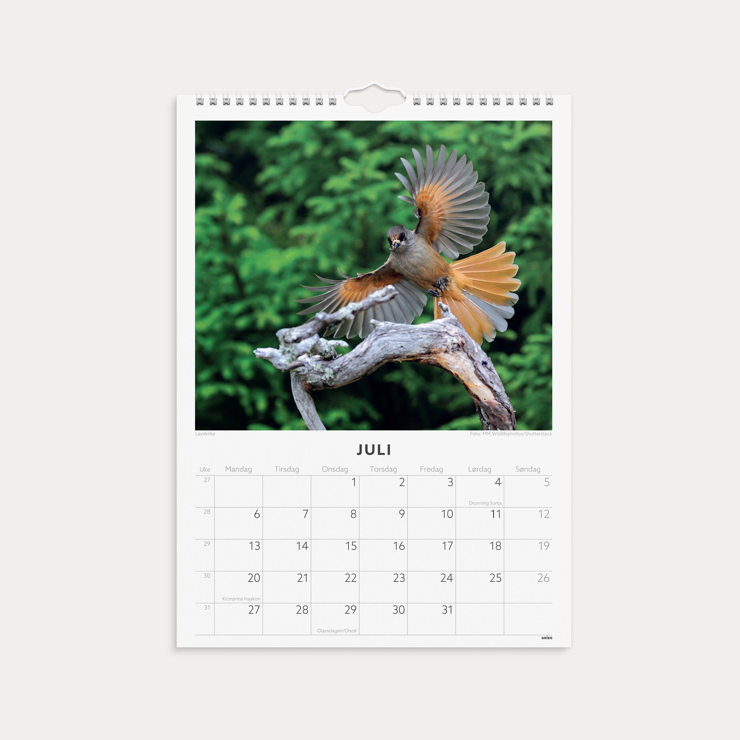 Veggkalender 2026 Fugler