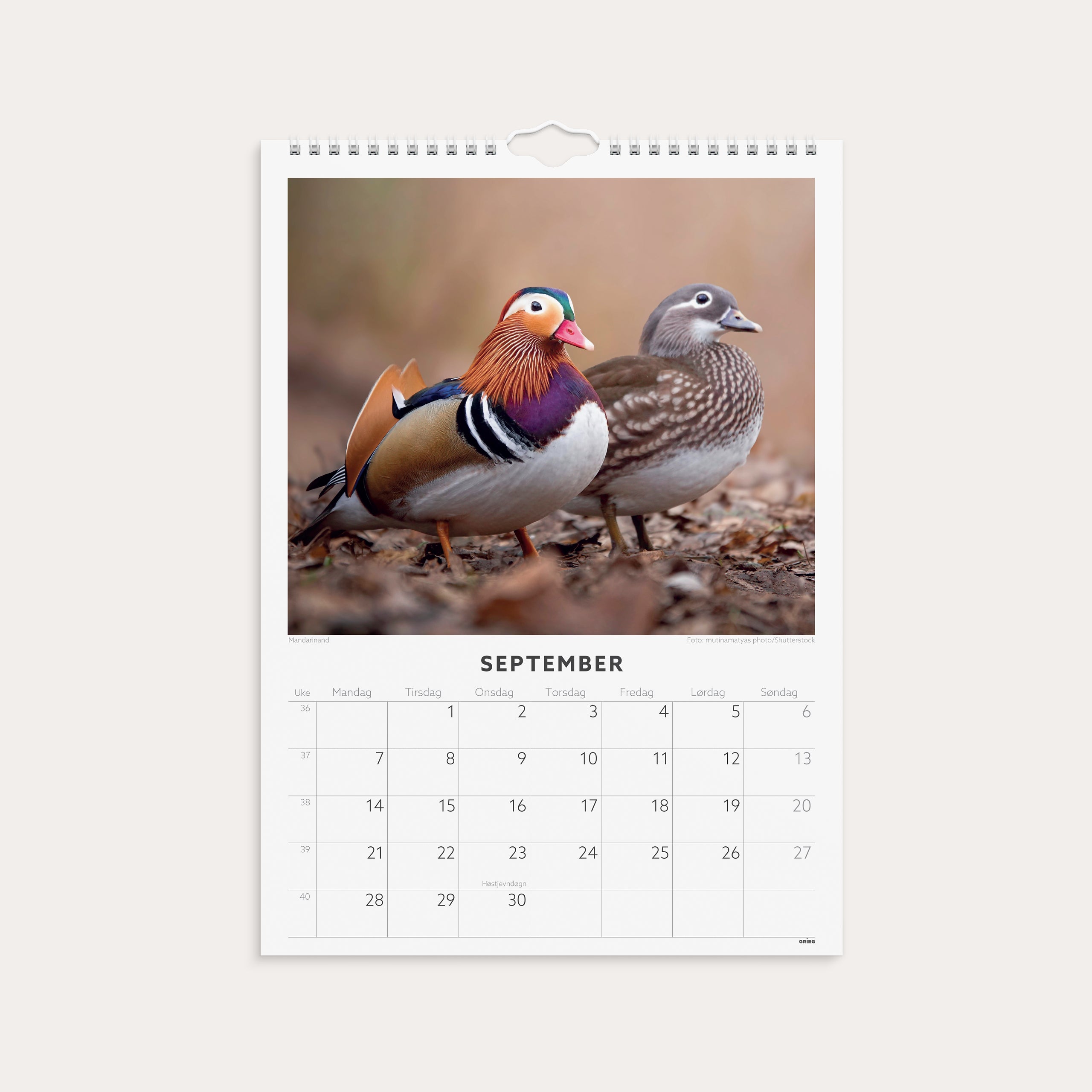 Veggkalender 2026 Fugler