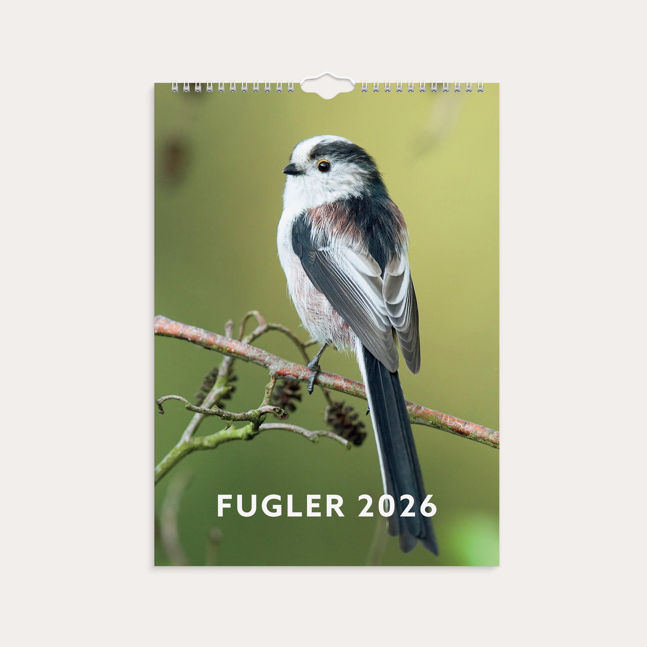 Veggkalender 2026 Fugler
