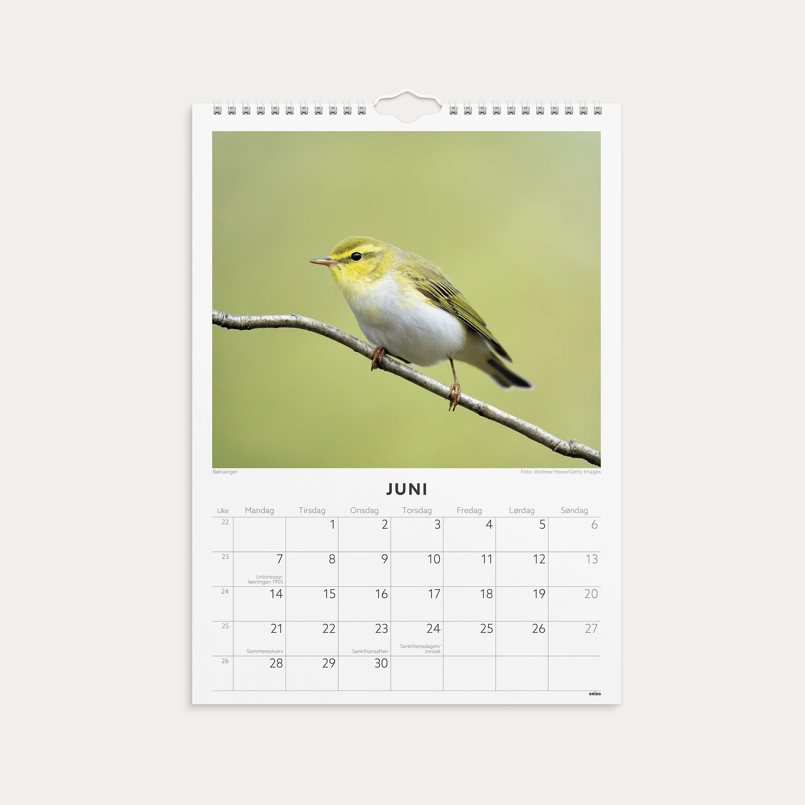 Veggkalender 2027 Fugler