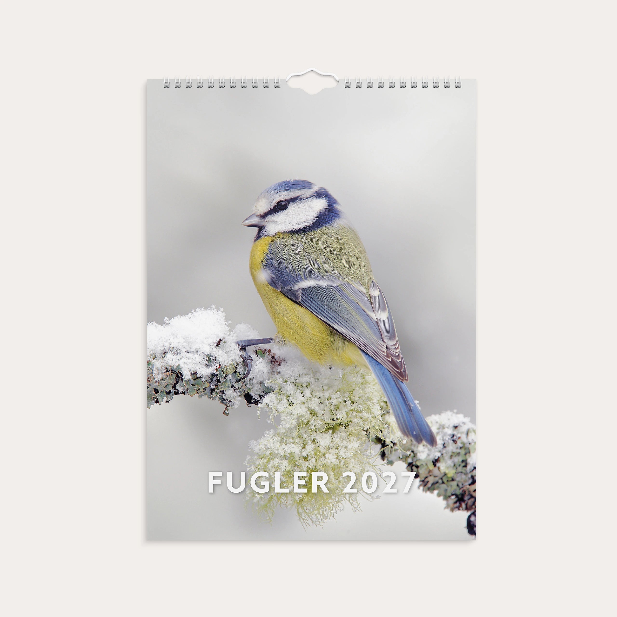 Veggkalender 2027 Fugler