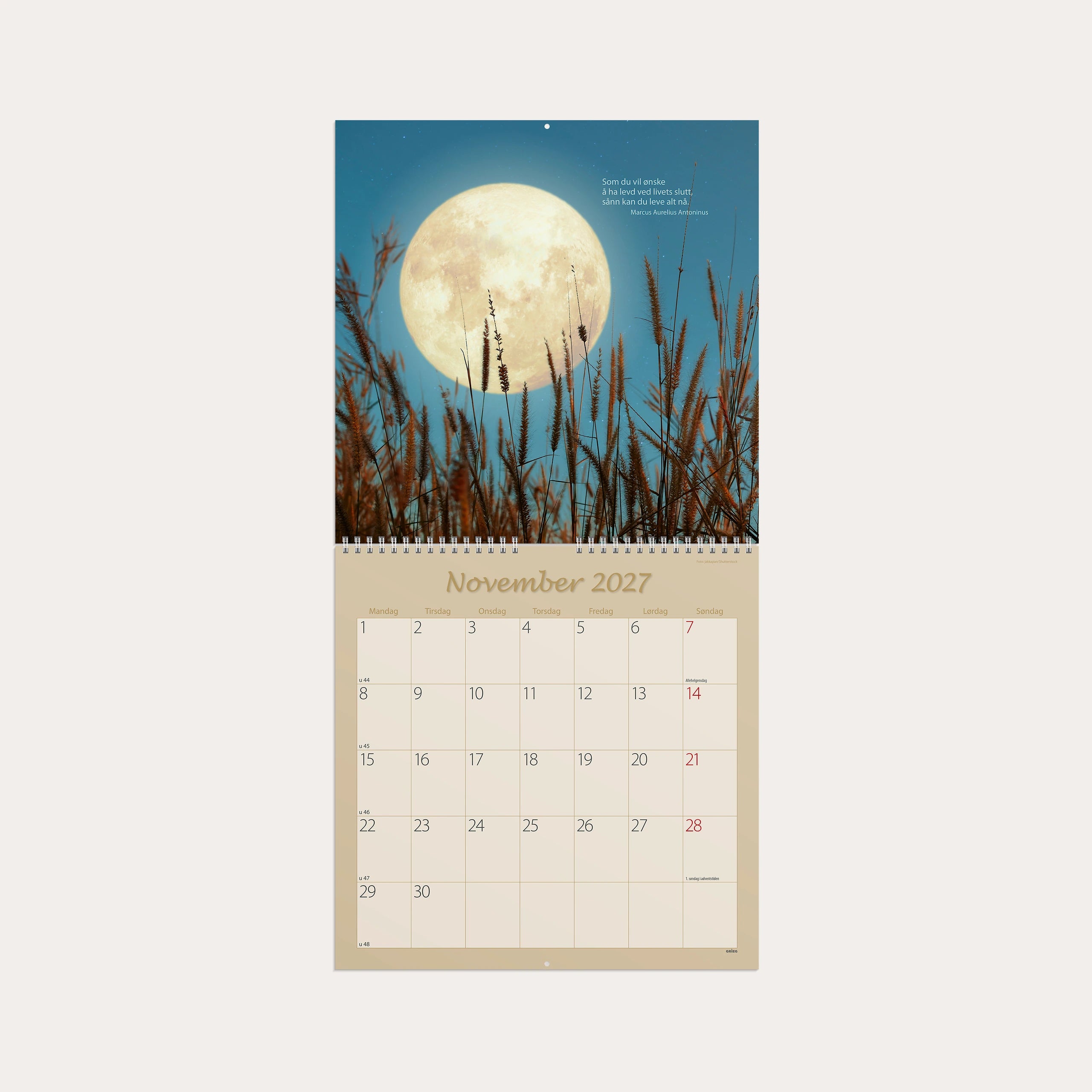 Veggkalender 2027 Carpe Diem