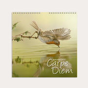 Veggkalender 2027 Carpe Diem