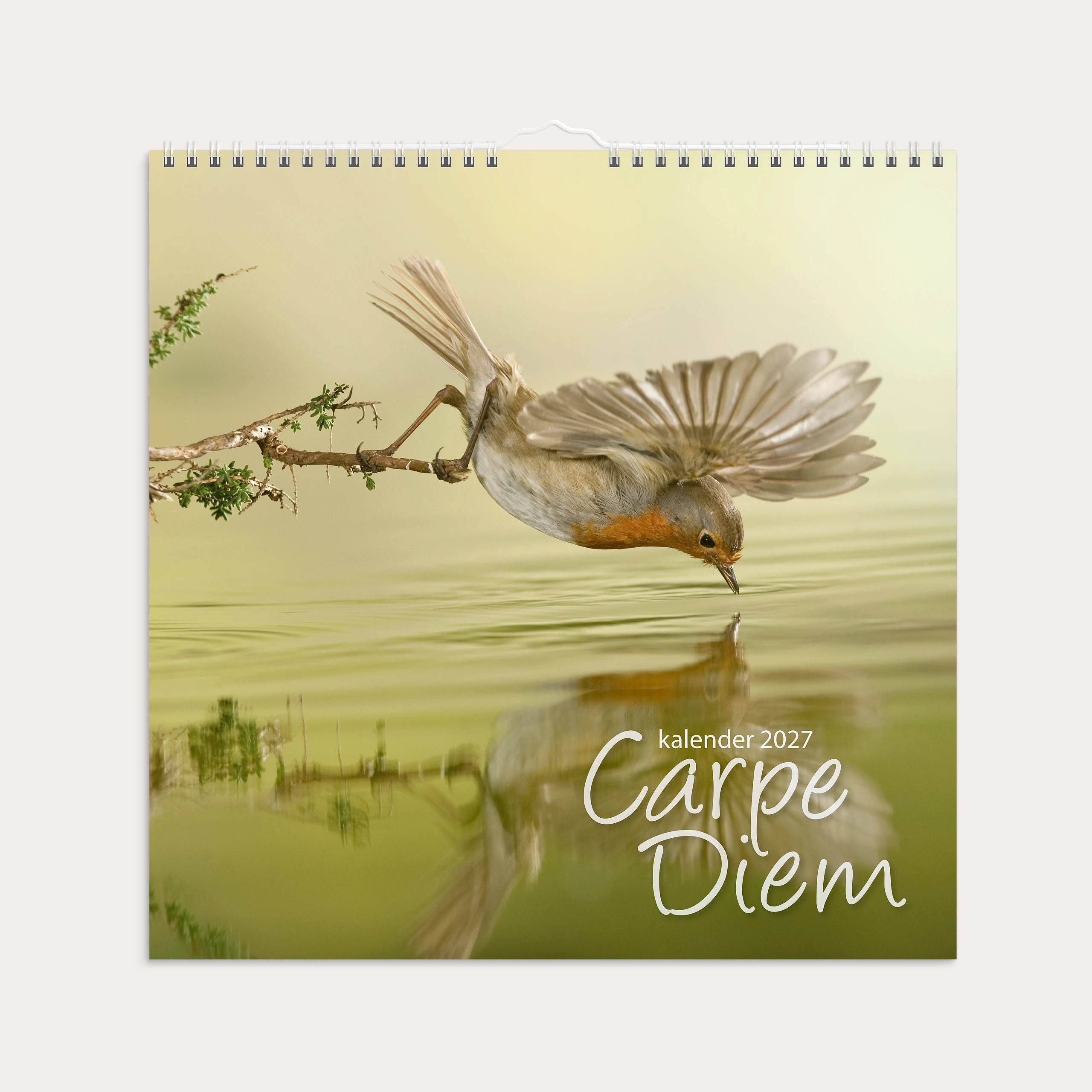 Veggkalender 2027 Carpe Diem