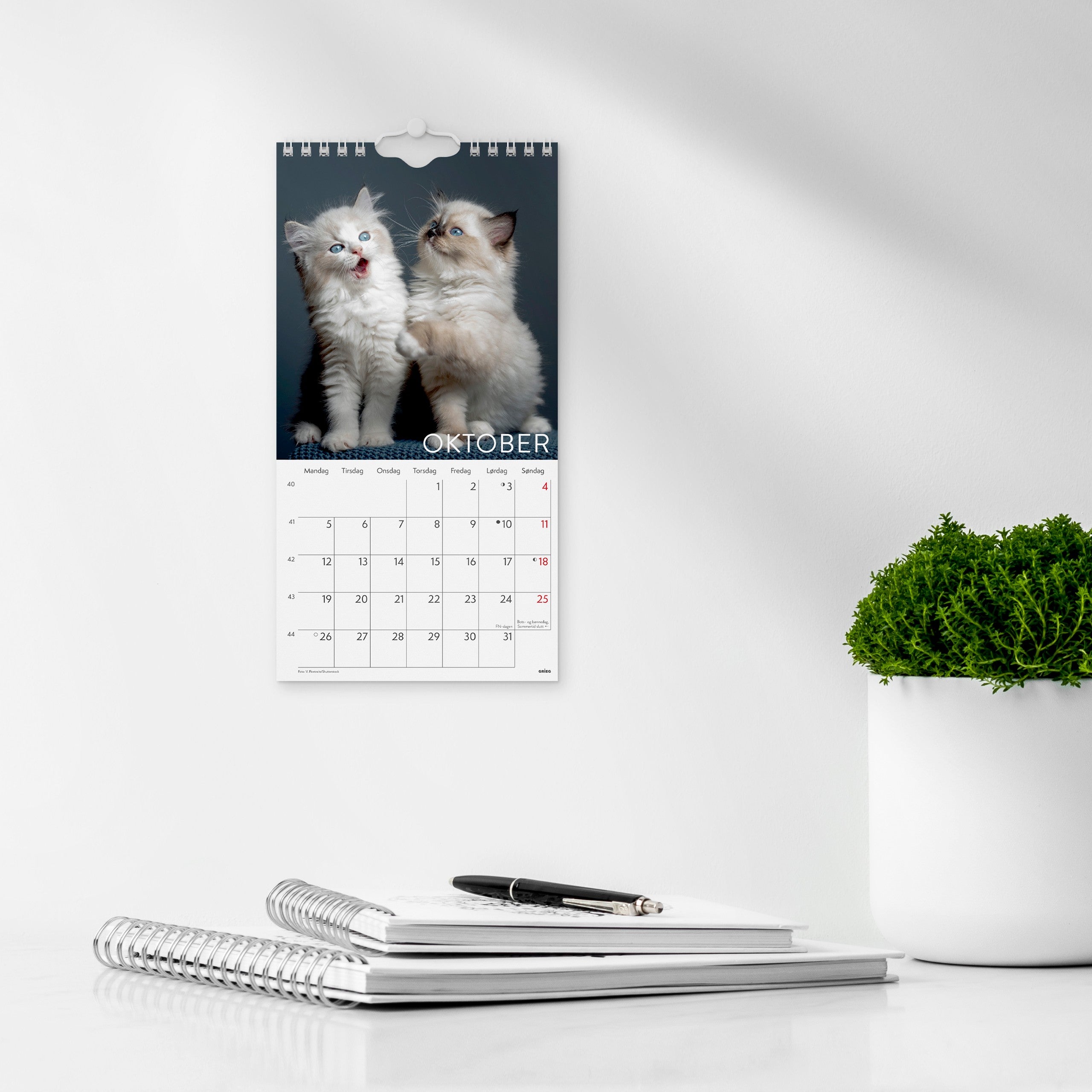 Veggkalender 2026 Katter Mini