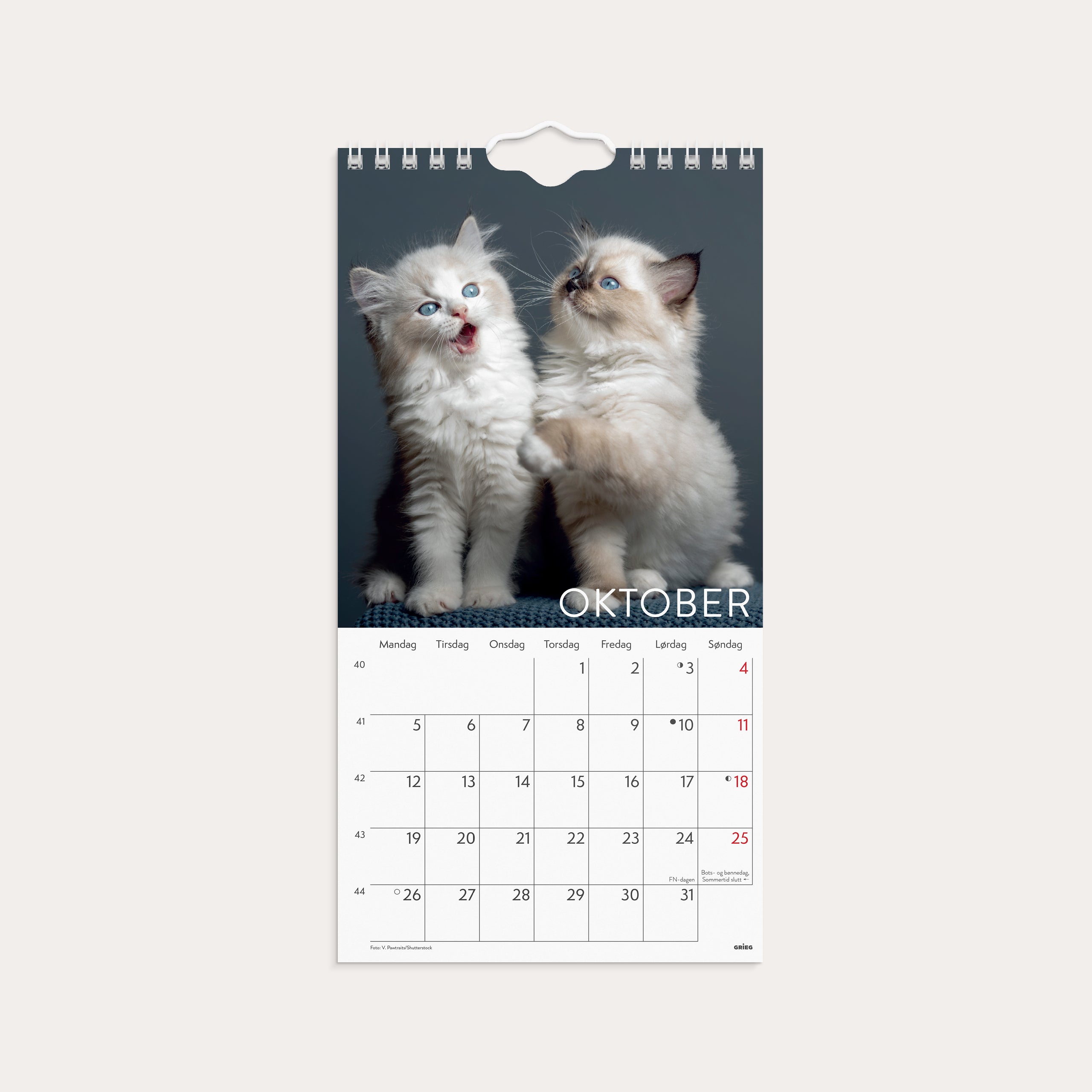 Veggkalender 2026 Katter Mini