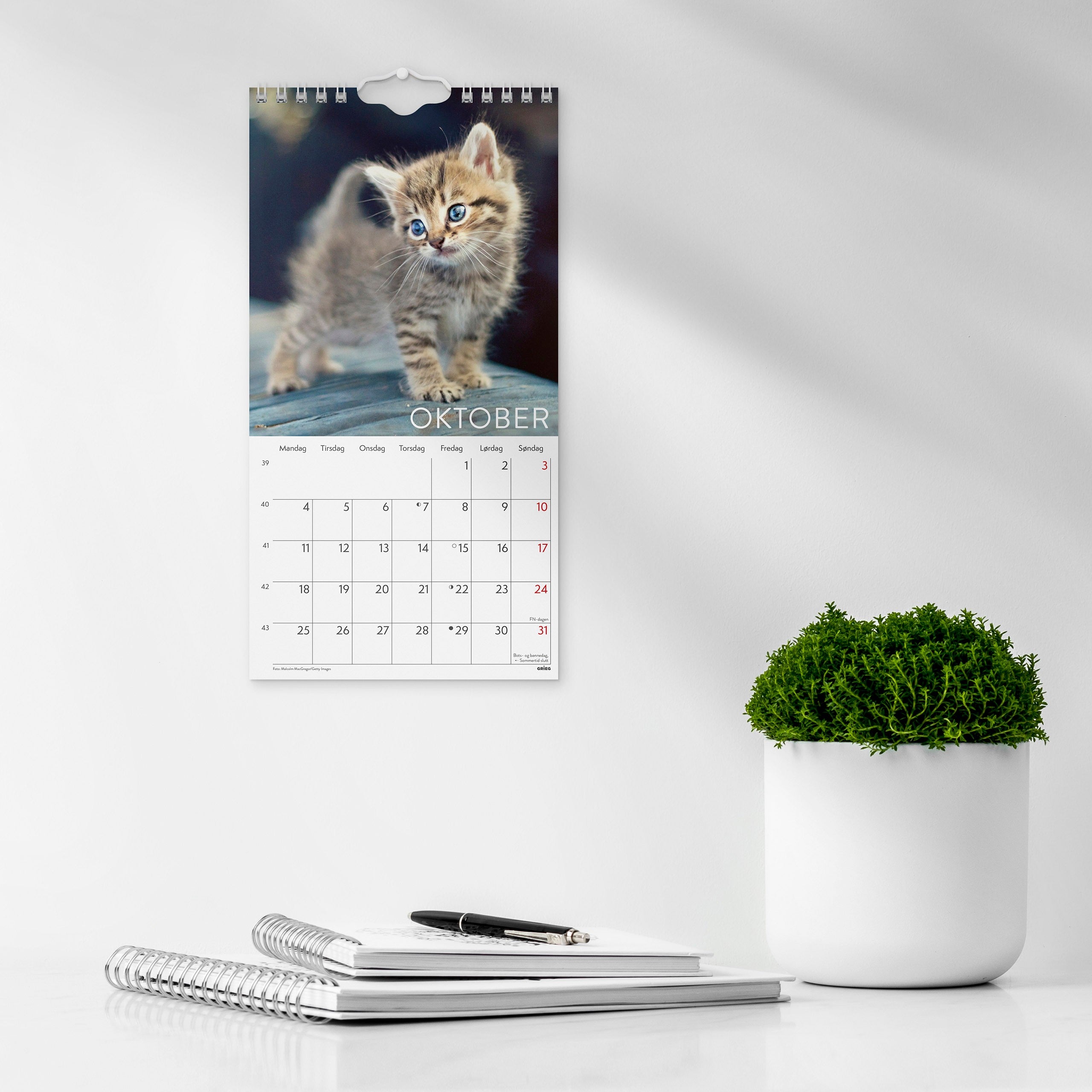 Veggkalender 2027 Katter Mini