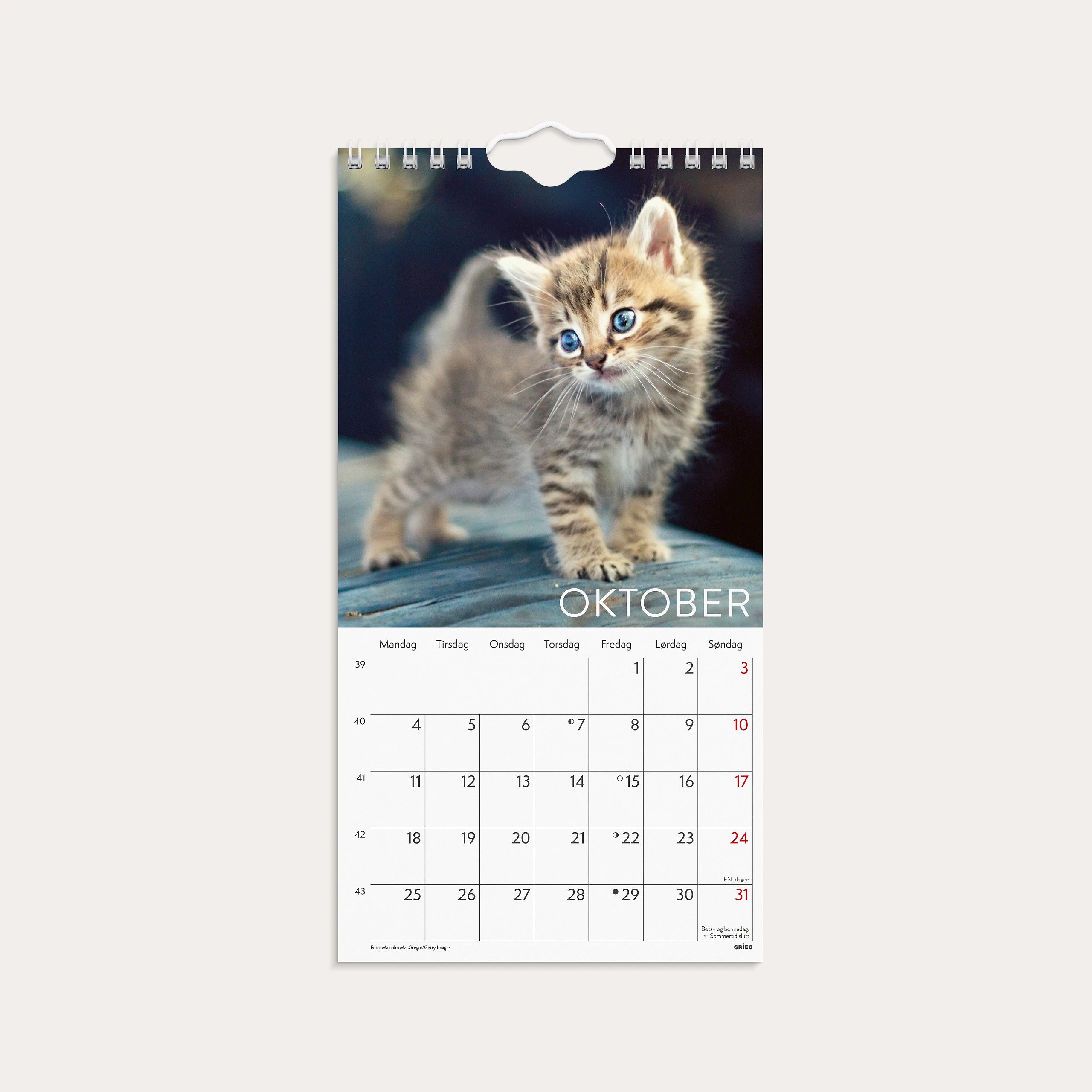 Veggkalender 2027 Katter Mini