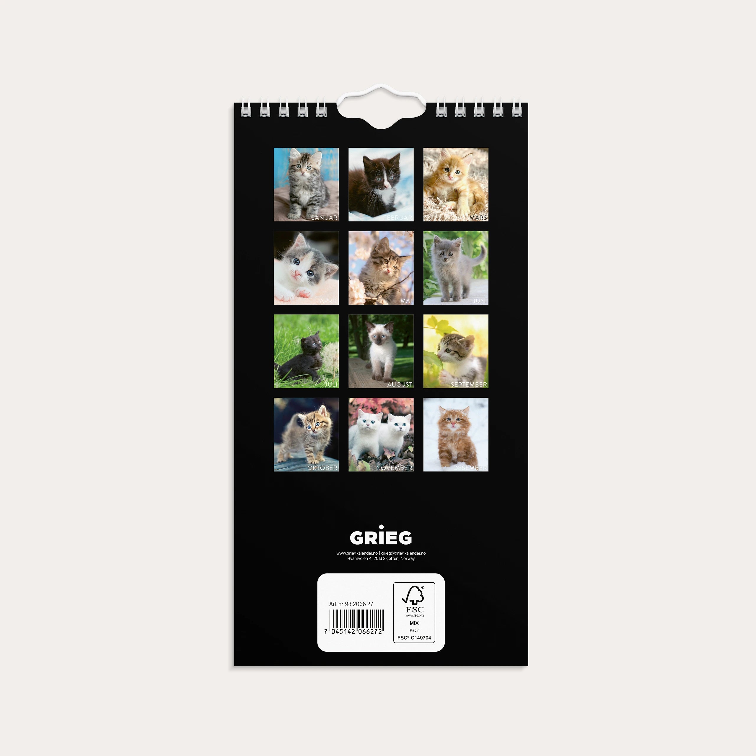 Veggkalender 2027 Katter Mini