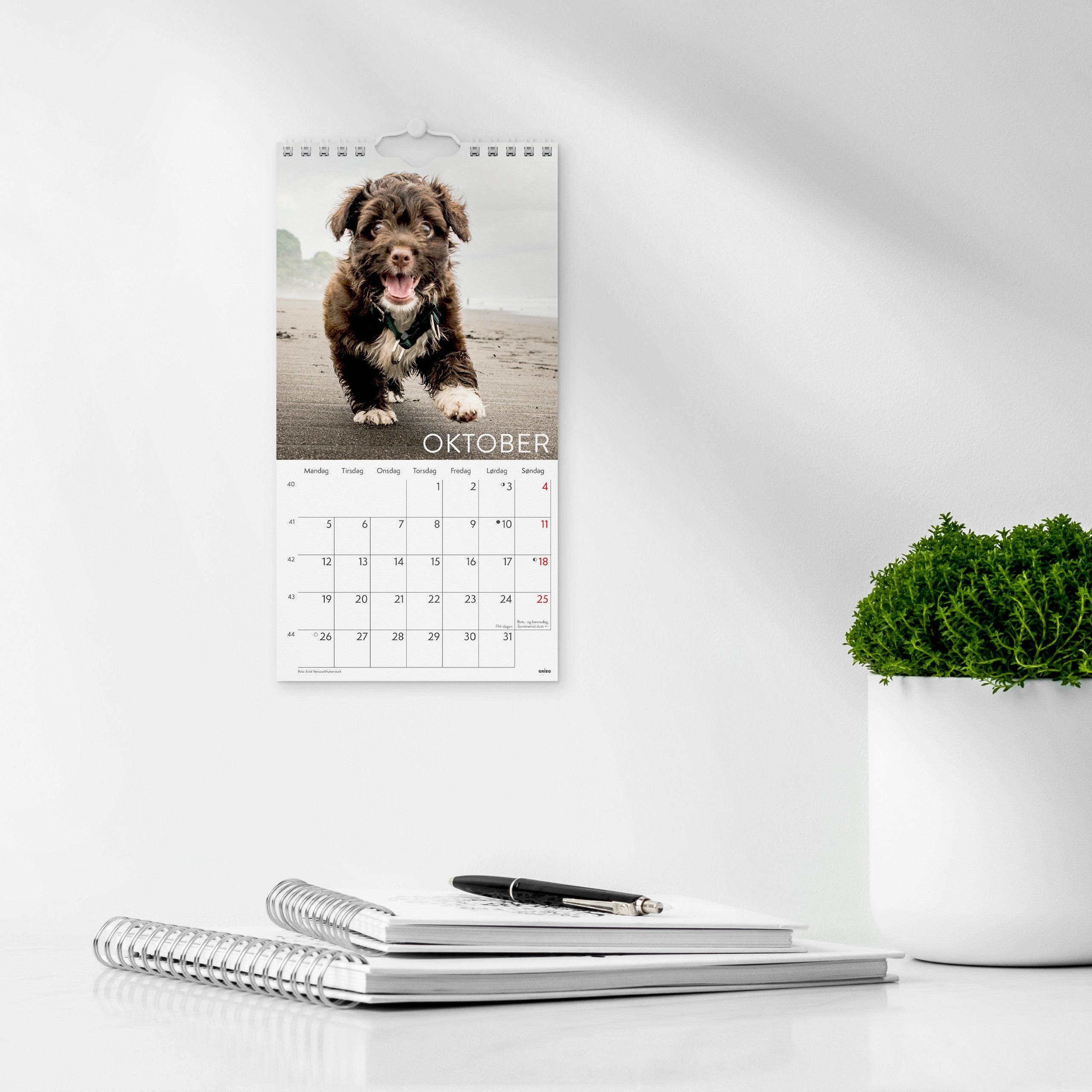 Veggkalender 2026 Hunder Mini