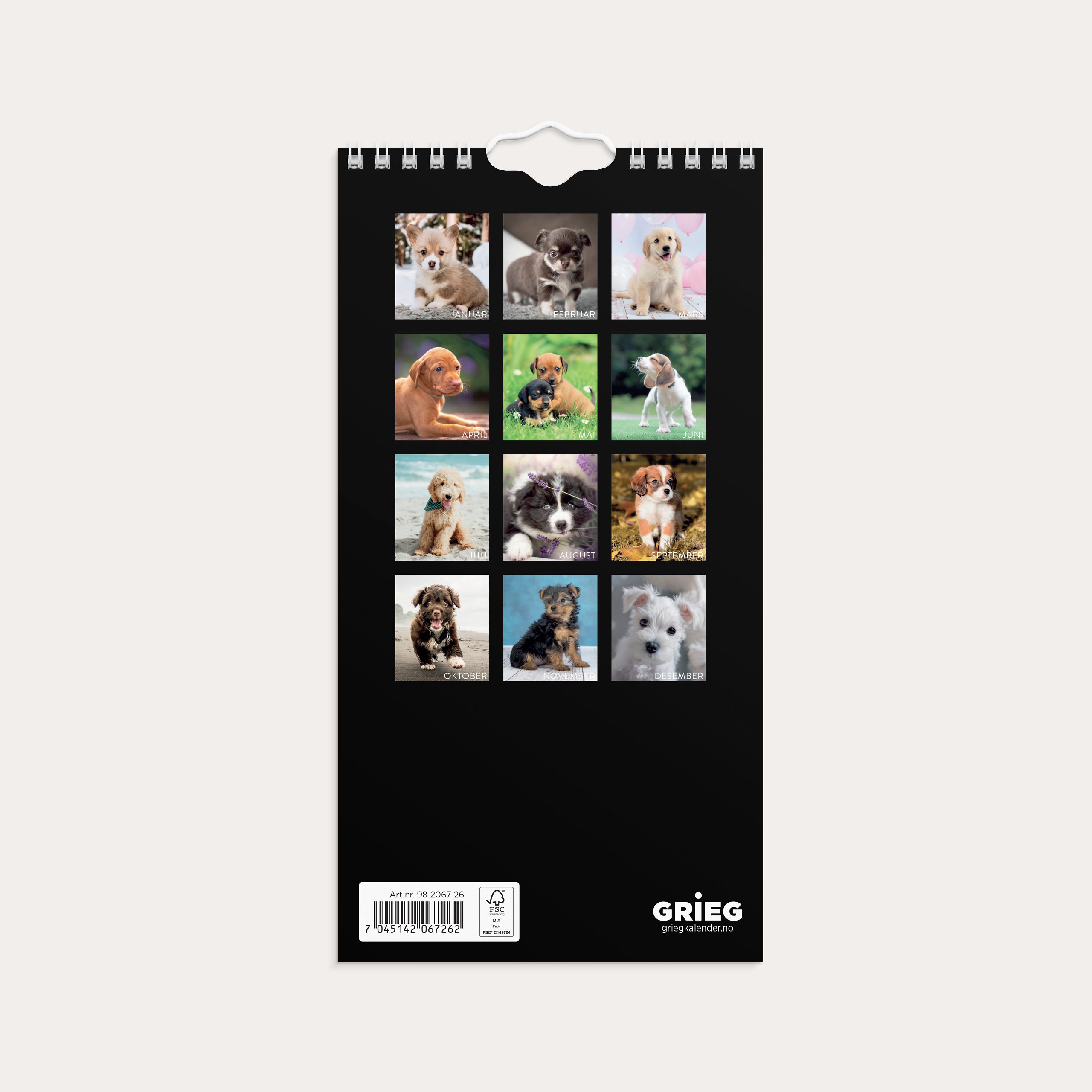 Veggkalender 2026 Hunder Mini