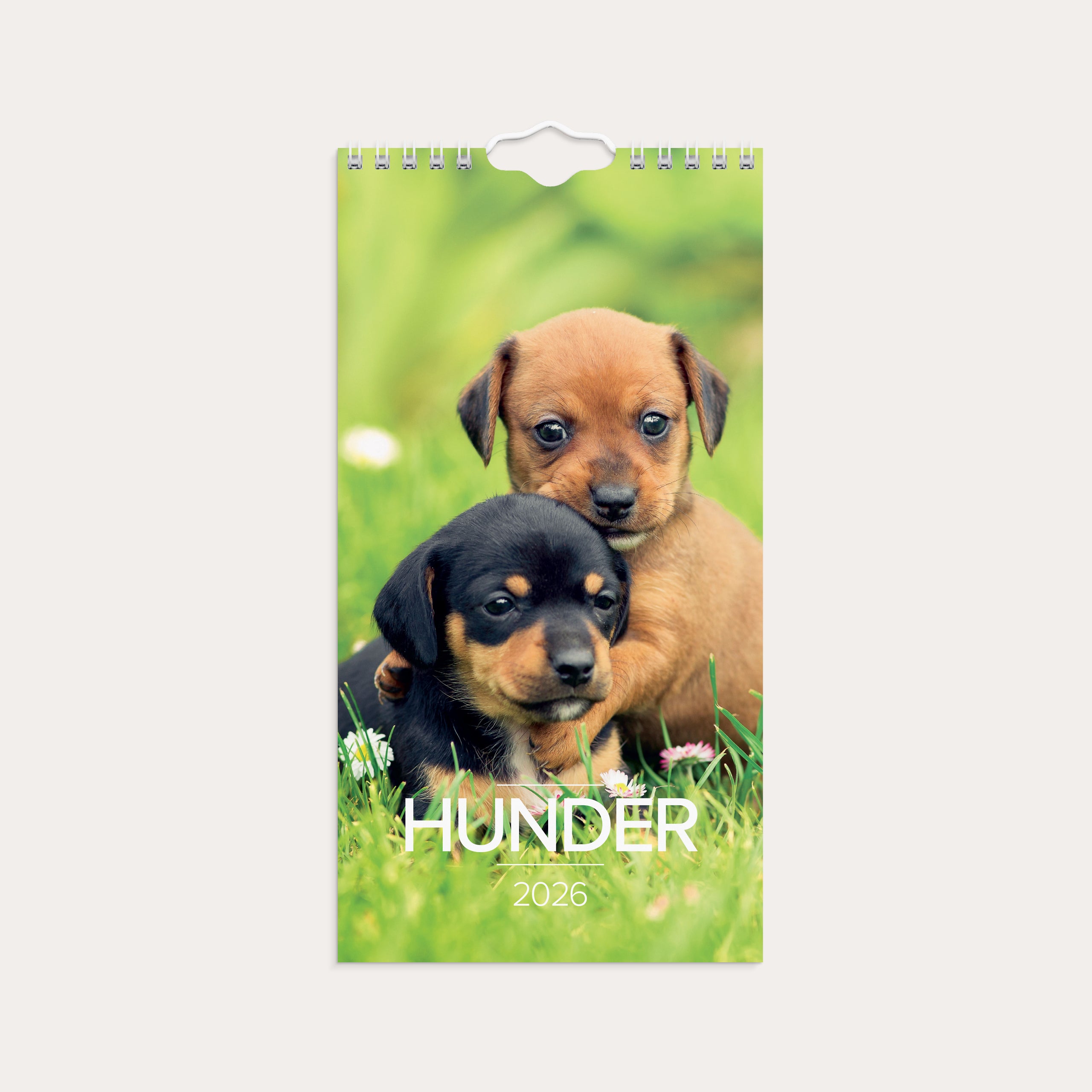 Veggkalender 2026 Hunder Mini