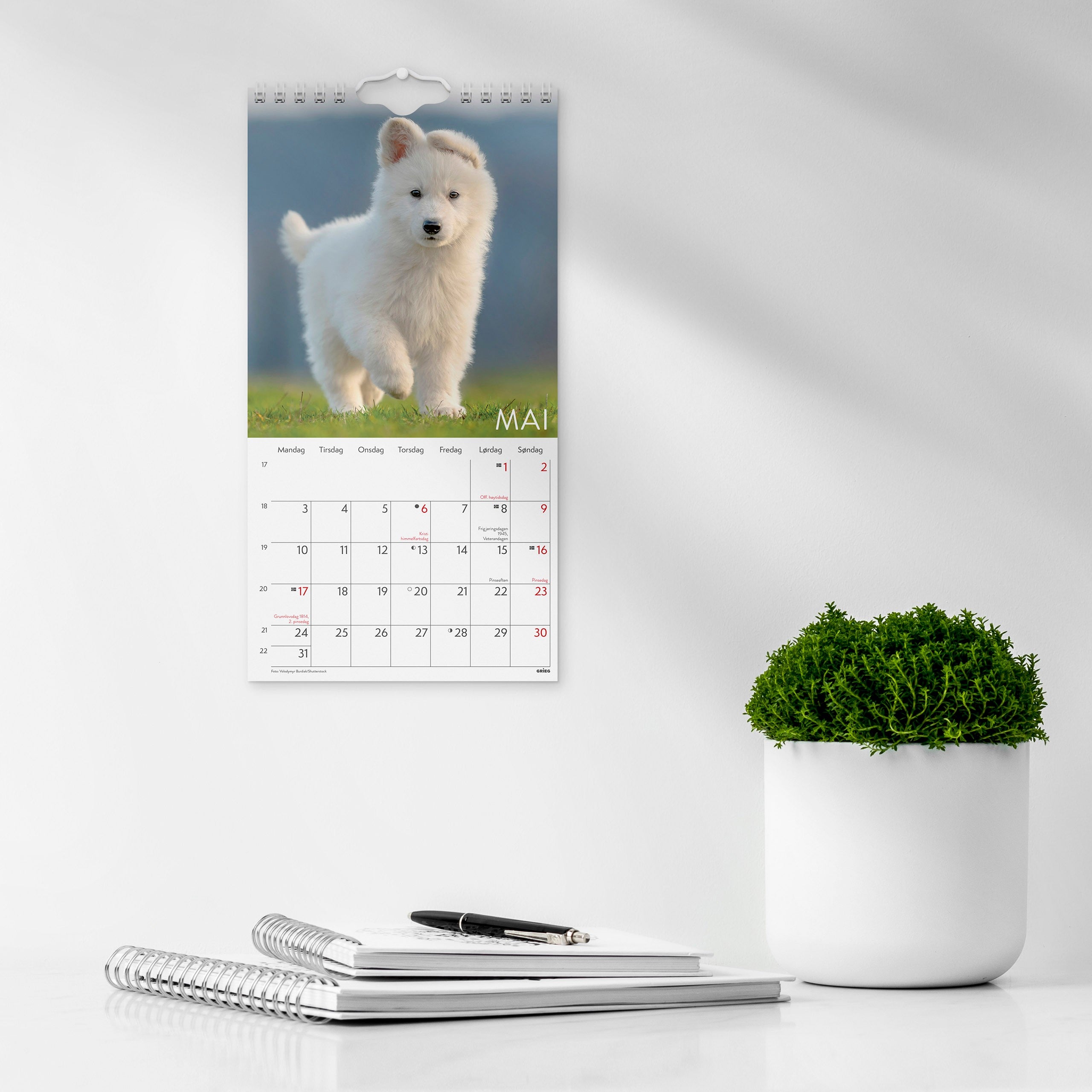 Veggkalender 2027 Hunder Mini