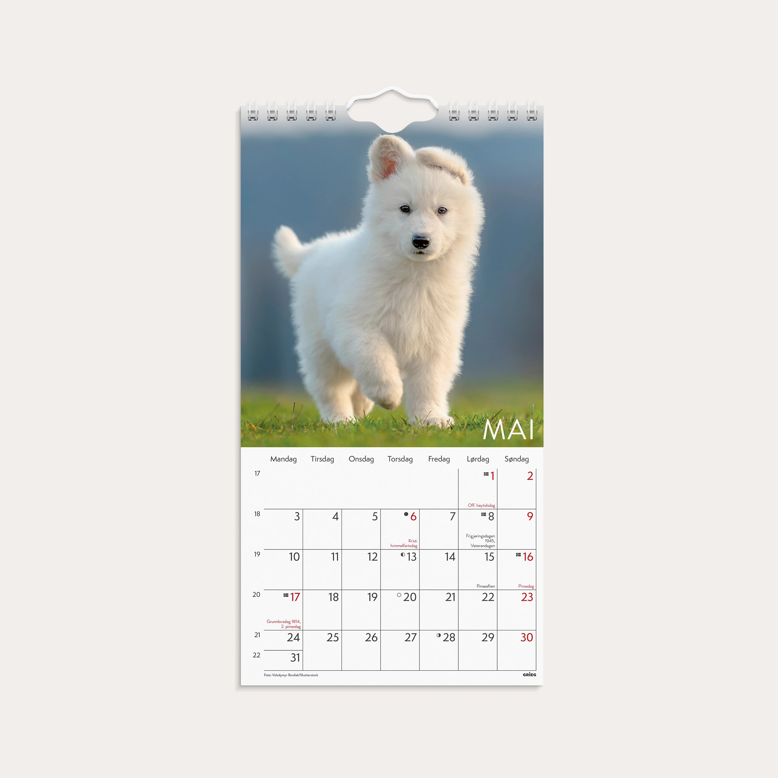 Veggkalender 2027 Hunder Mini