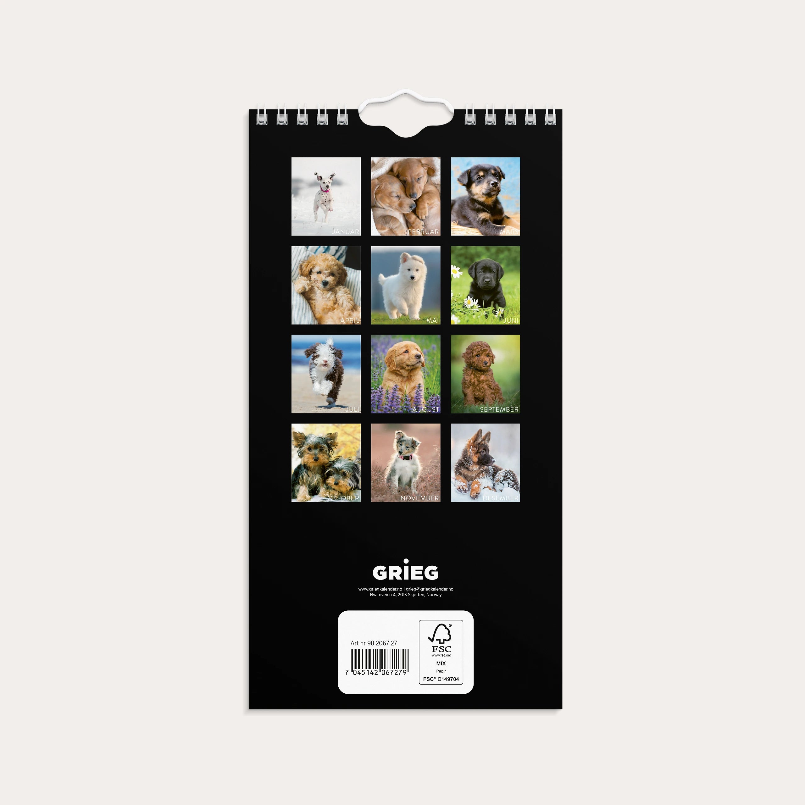 Veggkalender 2027 Hunder Mini