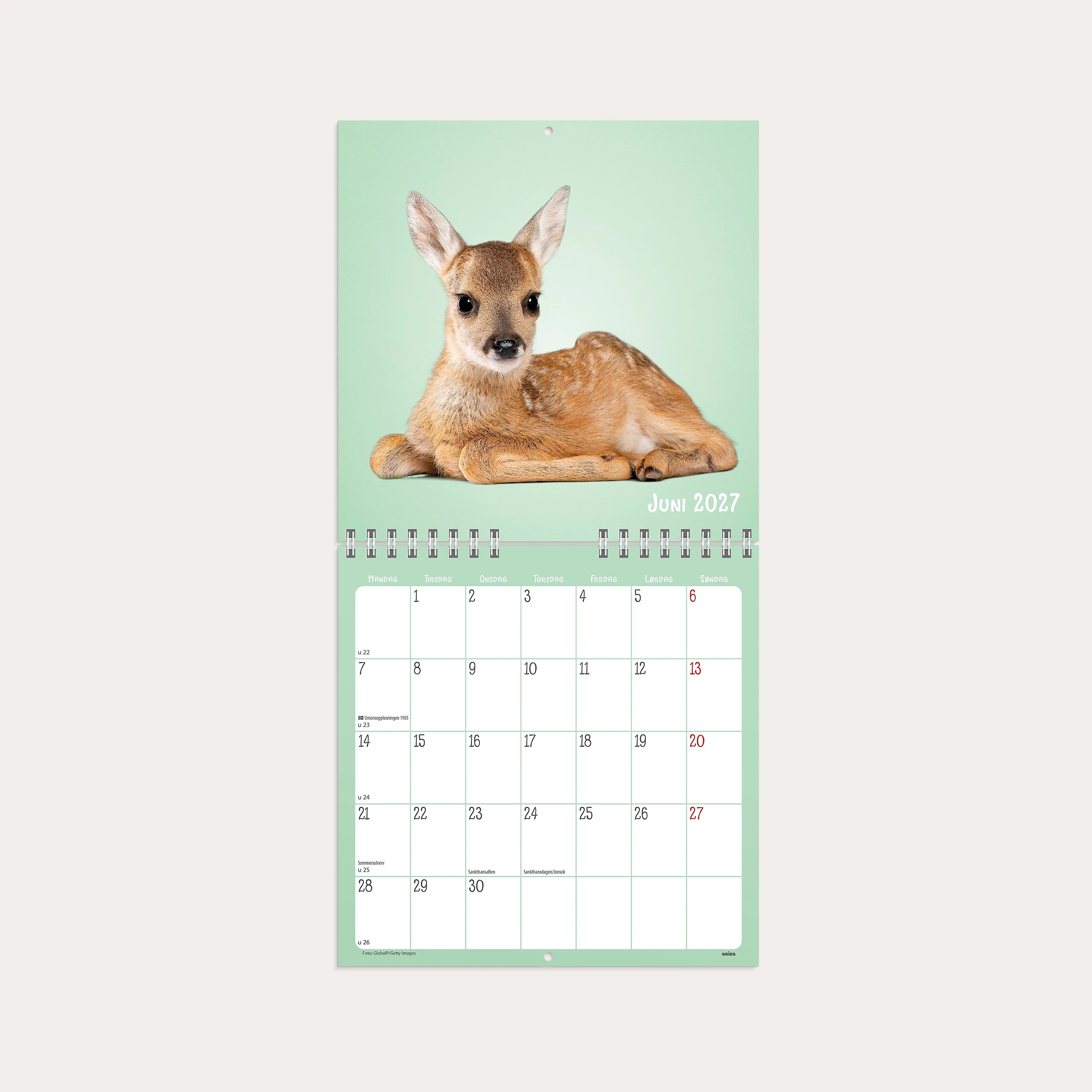 Veggkalender 2027 Søtnoser