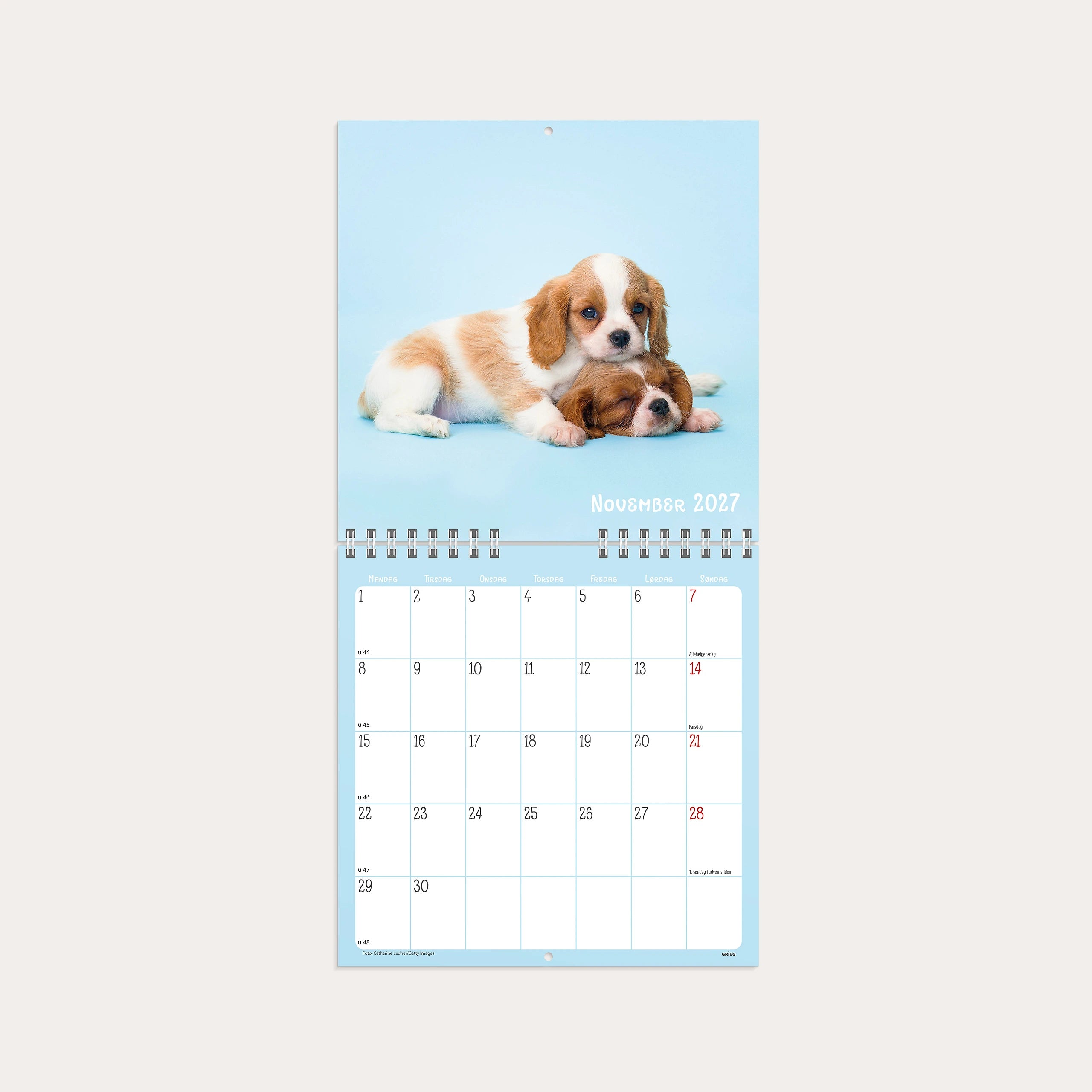 Veggkalender 2027 Søtnoser